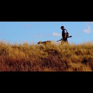 Meet your Posher, Jeff